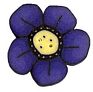 Large Indigo Wildflower